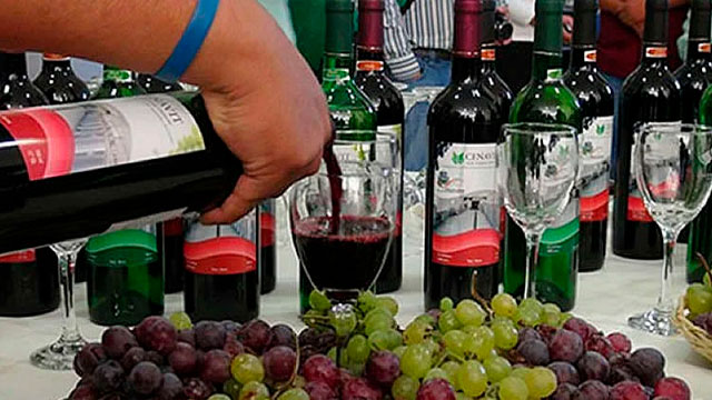 Vinos, Singanis de Tarija