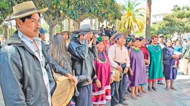 Pueblos Indígenas, Guaraní