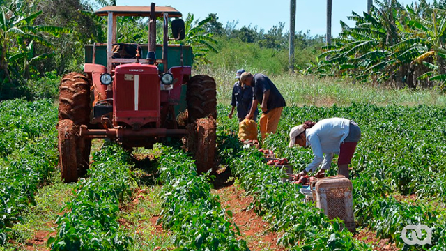 Agro producción Bolivia