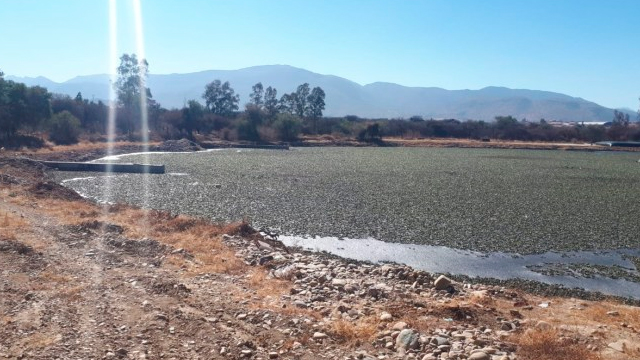 Lagunas de Oxidación