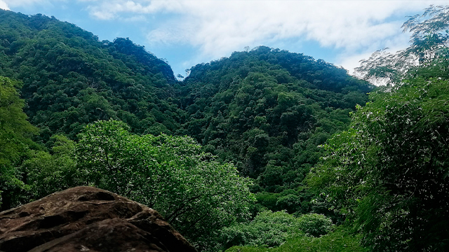 Parque Aguaragüe, Tarija - Bolivia