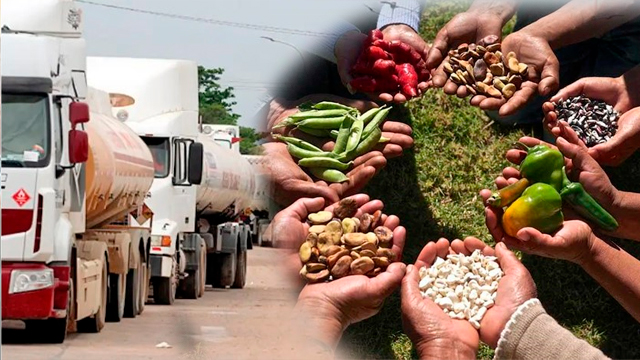 Filas por combustible, Seguridad Alimentaria